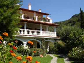 Гостиница Alexandros Apartments & Studios  Агиос Георгиос